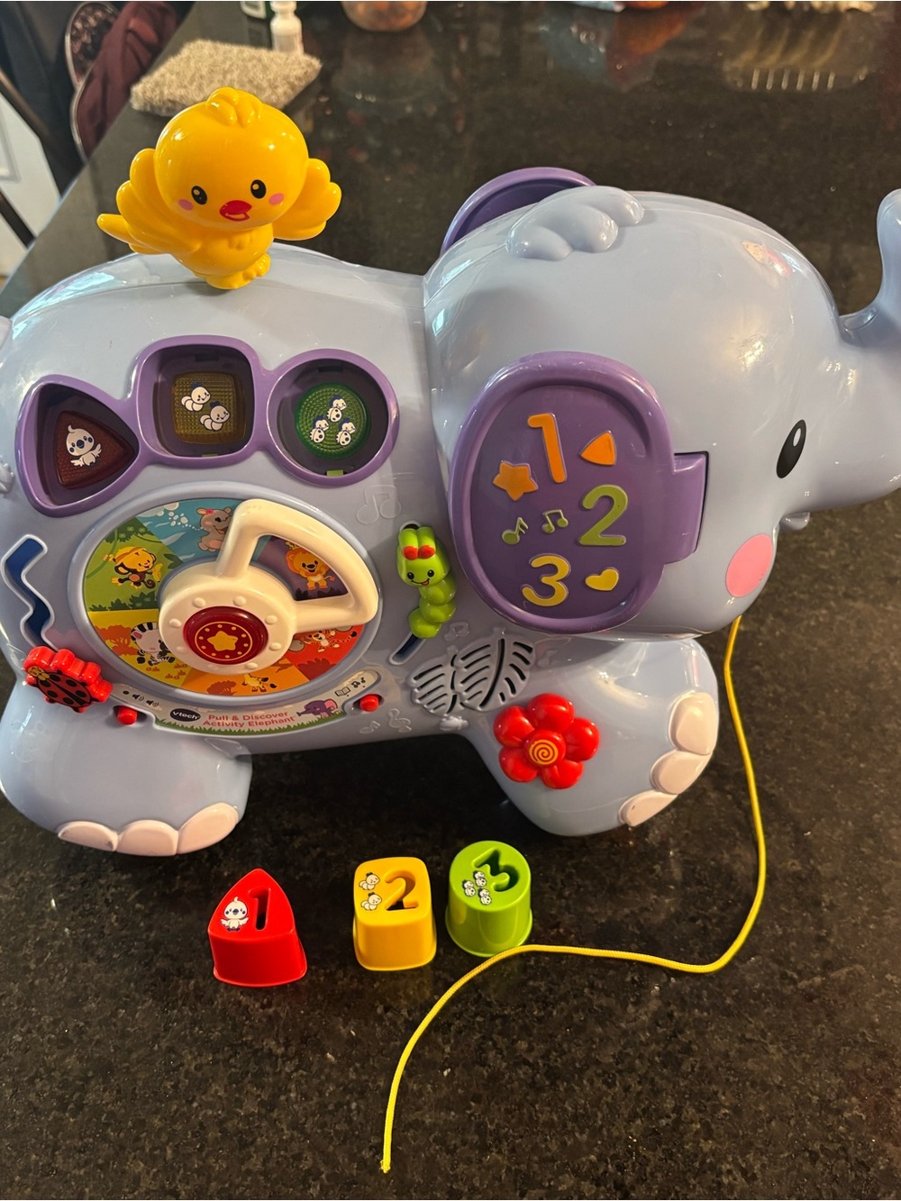 Pull and Discover Activity Elephant
